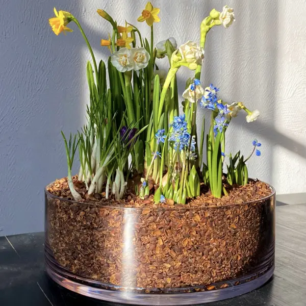 Ваза 30х12 см, поликарбонат, прозрачный