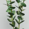 Ветвь эвкалипта H110 см, пластик, зеленый