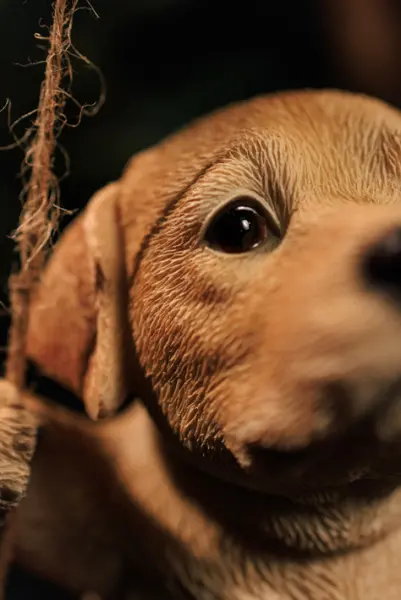 Подвес ЛАБРАДОР 12х15 см, полирезин, бежевый