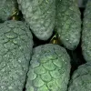 Подвес ШИШКА 7x15 см, стекло, зеленый