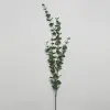 Ветвь эвкалипта H110 см, пластик, зеленый