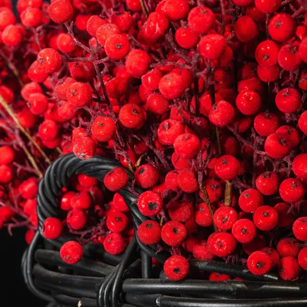 Ветвь ягодная H99 см, заснеженная, пластик, красный