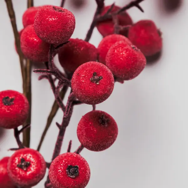 Ветвь ягодная ЯБЛОКО H73 см, пластик, красный