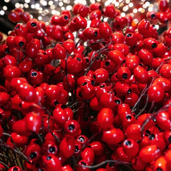 Ветвь ягодная ШИПОВНИК H81 см, пластик, красный