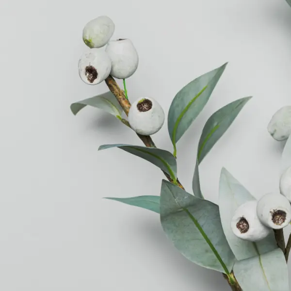 Ветвь эвкалипта с ягодами H93 см, пластик, зеленый