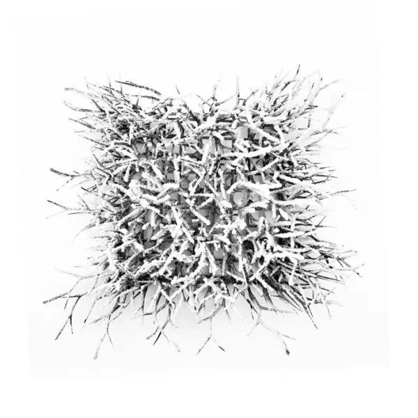 Панно из веток 25х25 см, заснеженное, пластик, тёмно-коричневый