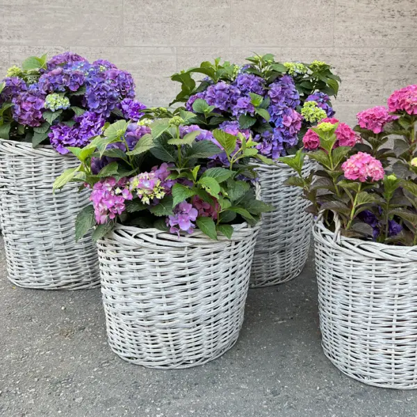 Комплект из 4-х плетёных корзин 70х60х64 60х55х54 50х45х45 43х43х38 см, ива, серый