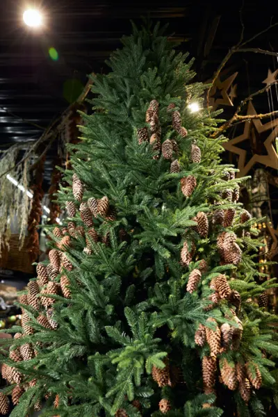 Ель искусственная премиум КАРПАТСКАЯ Н240 см, пластик, металл, зелёный