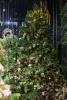 Ель искусственная с лампочками РОМАНОВСКАЯ Н180 см, пластик, металл, зелёный