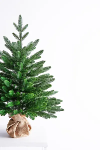 Ель настольная РОМАНОВСКАЯ H90 см, пластик, зеленый