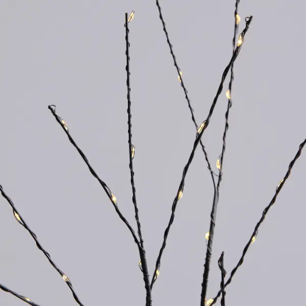 XT5018001_B(2)
