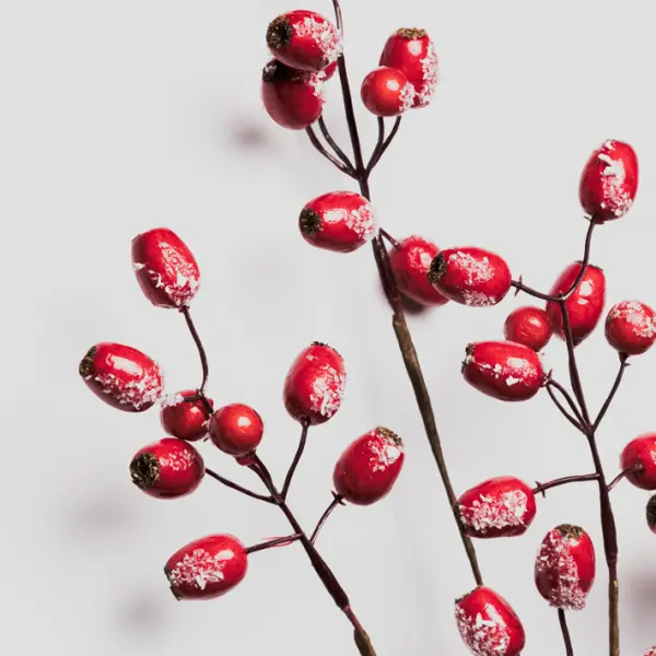 Ветвь ягодная ШИПОВНИК H76 см, заснеженная, пластик, красный