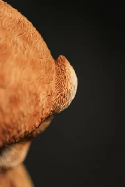 Подвес ЗАЯЦ 9х14 см, полирезин, бело-коричневый