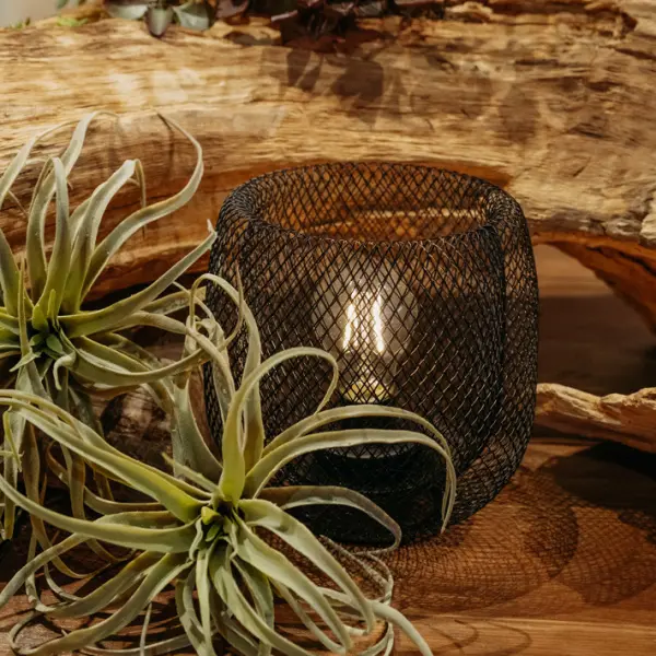 Светильник 18х18 см, металл, чёрный