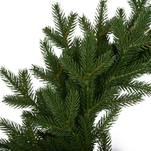 Венок рождественский ВЕРСАЛЬСКИЙ D80 см, пластик, зелёный