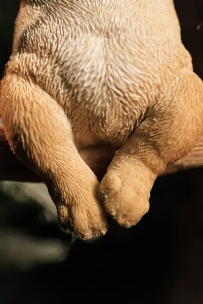 Подвес БУЛЬДОГ 12х14 см, полирезин, бежевый