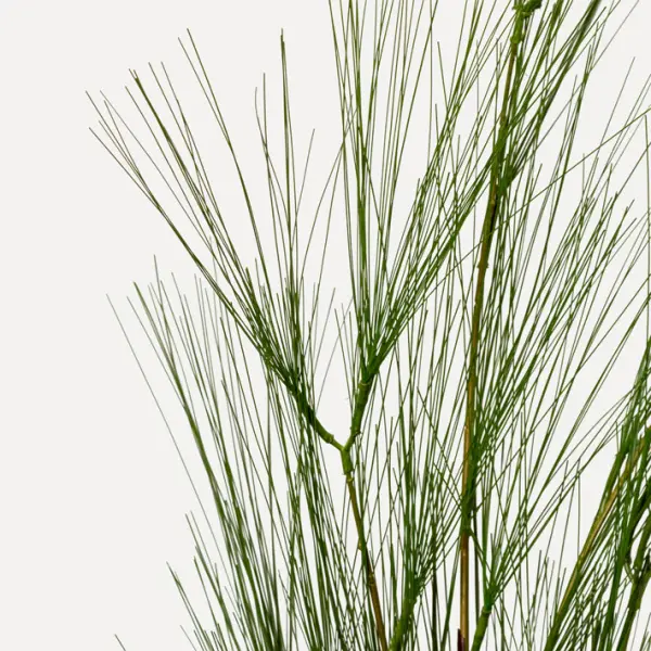 Ветвь хвойная СОСНА H124 см, пластик, зеленый