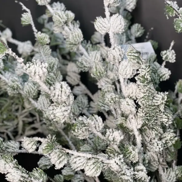 Ветвь Подокарпуса H130 см, заснеженная, пластик, зелёный