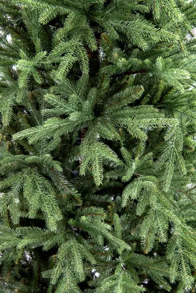 Ель искусственная премиум КАРПАТСКАЯ Н240 см, пластик, металл, зелёный