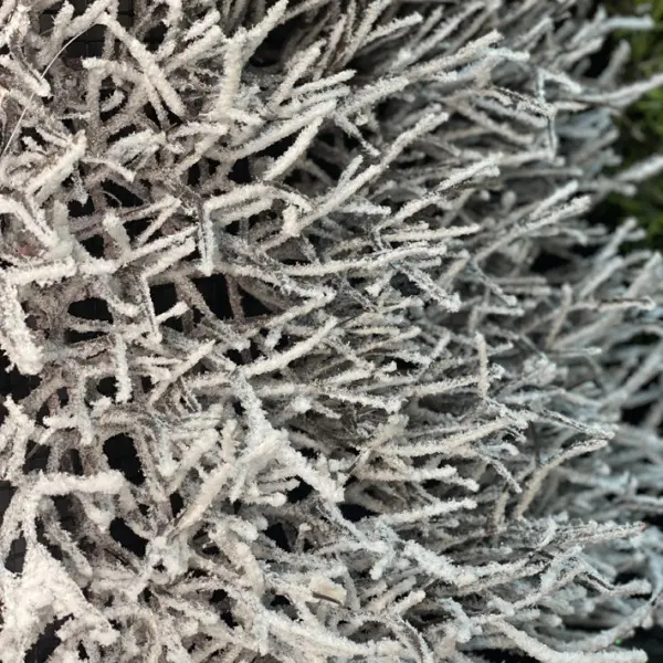 Панно из веток 25х25 см, заснеженное, пластик, тёмно-коричневый